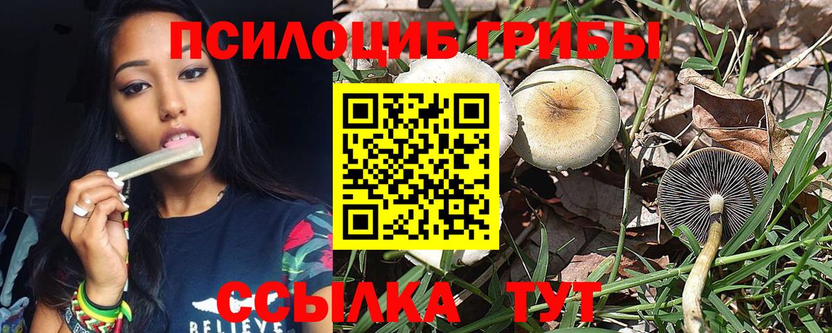 Псилоцибиновые грибы MAGIC MUSHROOMS  закладка  Звенигород  Вход с VPN 